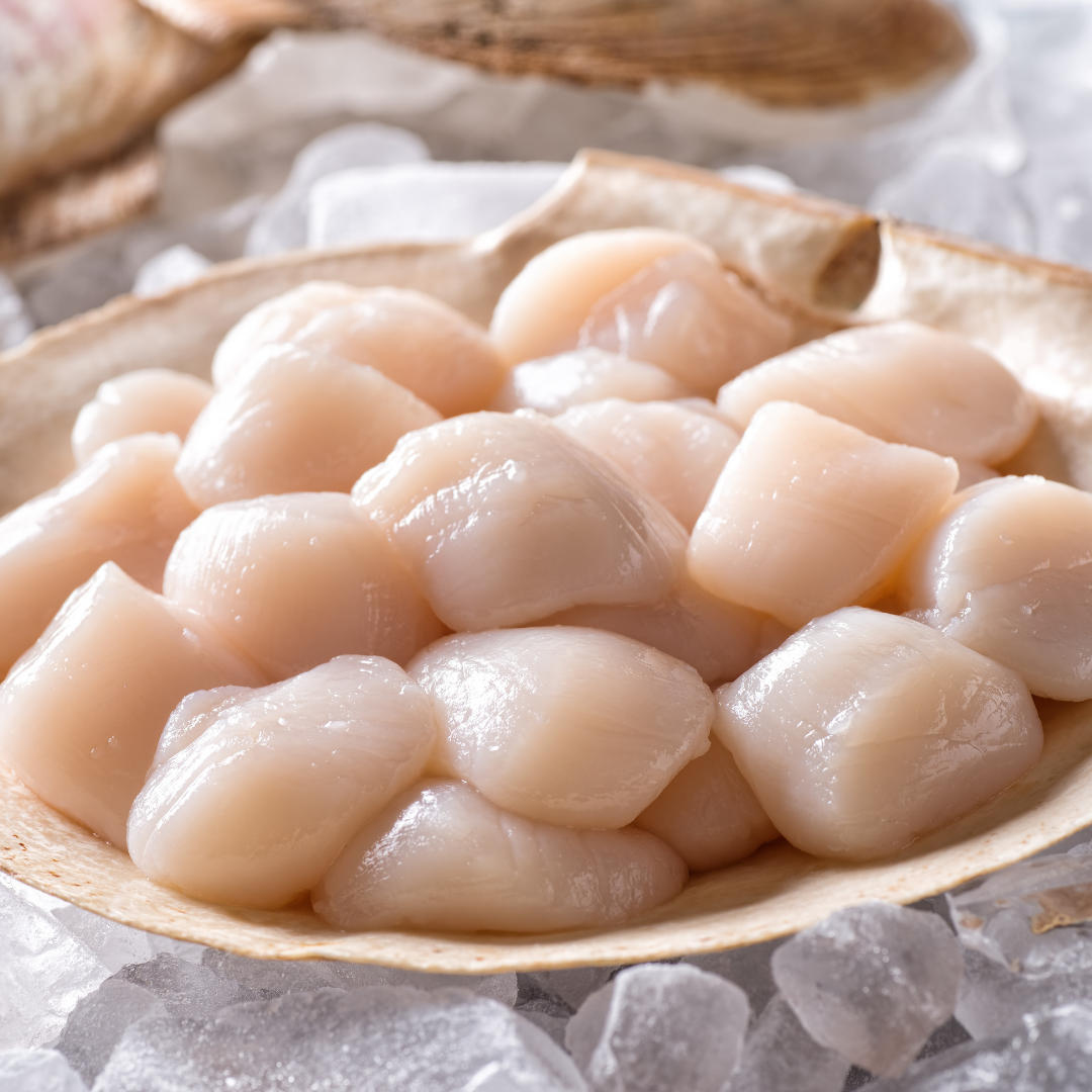 Scallops (Medium 40 to 60) 1 lb