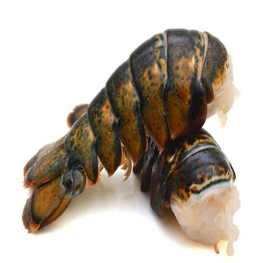 Lobster Tail (5 to 6 oz) Atlantic